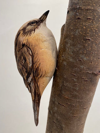 "Tree creeper" available at Artifex 
