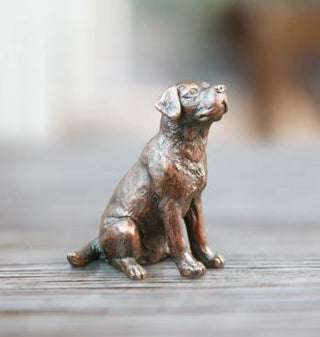 "Small Labrador Sitting" available at Artifex 