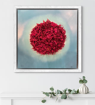 Cherry Toys Art work