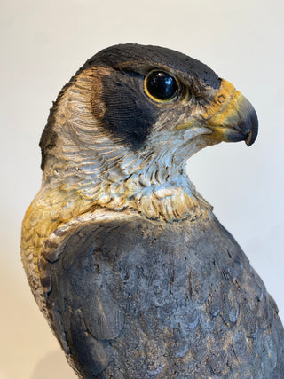 "Peregrine Falcon" available at Artifex