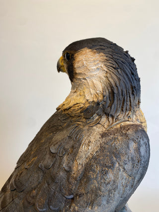 "Peregrine Falcon" available at Artifex