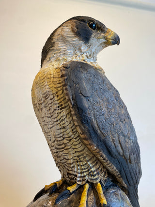 "Peregrine Falcon" available at Artifex
