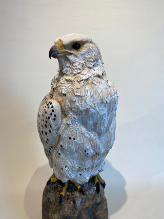 "Gyr Falcon" available at Artifex