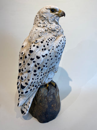 "Gyr Falcon" available at Artifex