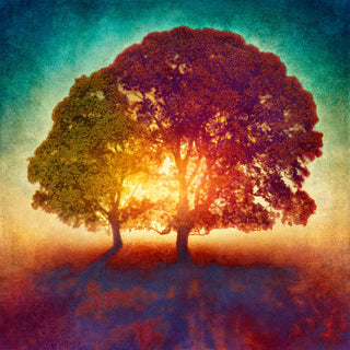 Dibond print on brushed aluminium art work