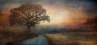 Dibond print on brushed aluminium art work