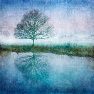 "Dibond print on brushed aluminium art work" available at Artifex