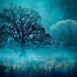 Dibond print on brushed aluminium art work