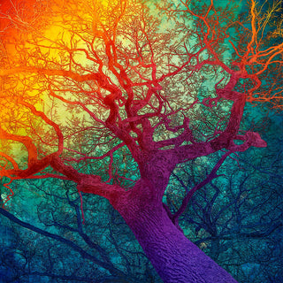 "Dibond print on brushed aluminium art work" available at Artifex