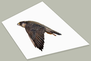 "Onwards Painting" available at Artifex