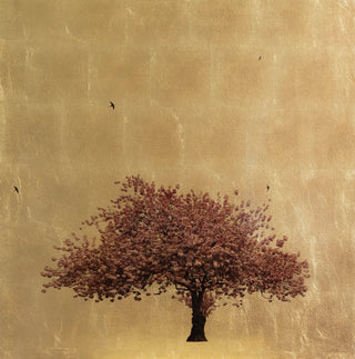 Prunus Serrulata XVII In Excelsis art work