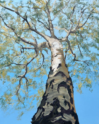 "Silver Birch Painting" available at Artifex