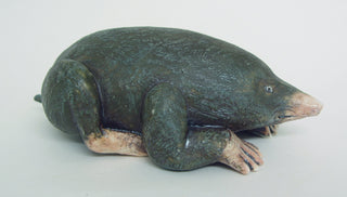 "LITTLE GENTLEMAN IN A VELVET JACKET" available at Artifex