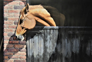 "Stable Painting" available at Artifex 