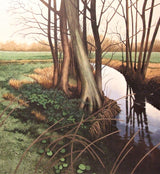 Brook