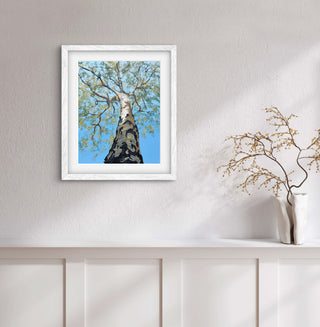 "Silver Birch Painting" available at Artifex 