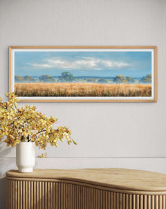 Cornfield in Summer