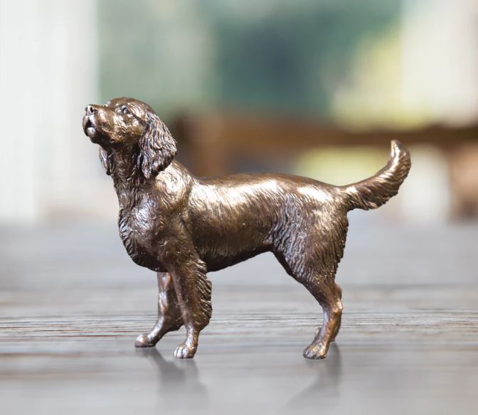 "Medium Springer Spaniel" available at Artifex 