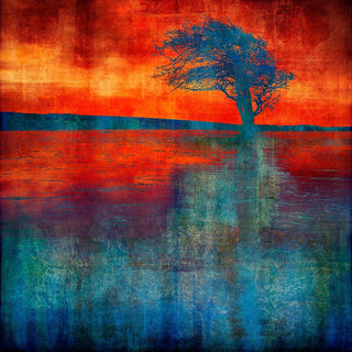 "Fire Pond art work" available at Artifex 