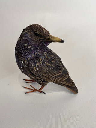 "Starling" available at Artifex 