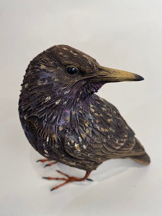 "Starling" available at Artifex 