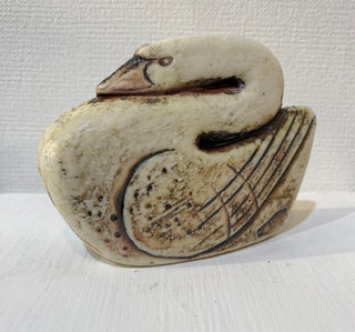Swan A swimming