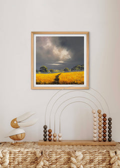 Golden Meadow