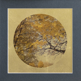 "Arboris Autumn" available at Artifex 