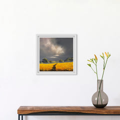 Golden Meadow