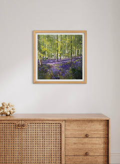 Purple Bluebells