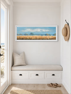 Cornfield in Summer