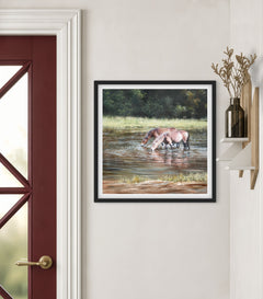 Little Bracebridge Horses