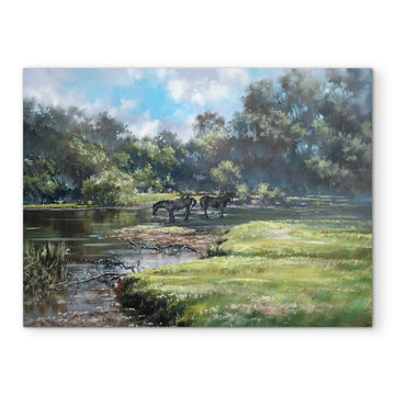 Canvas