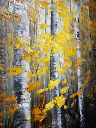 Autumn Birch Trees