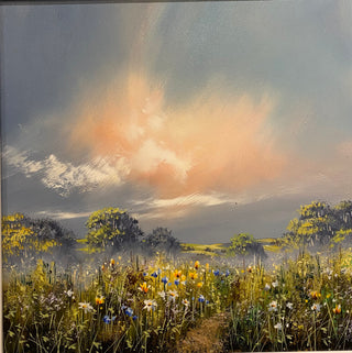 Wild Meadow