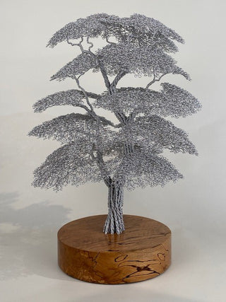 "Sweat Chestnut Tree sculpture" available at Artifex 