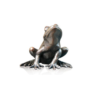 "Frog Alert" available at Artifex 