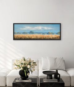 Cornfield in Summer
