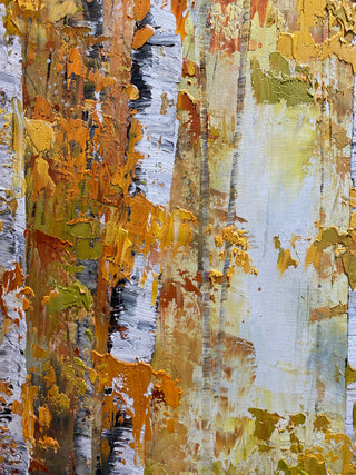 Yellow Autumn Birch Trees