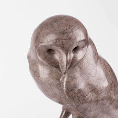 Barn Owl