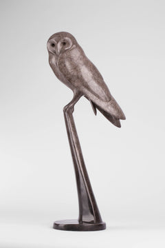Barn Owl