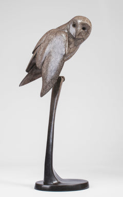 Barn Owl