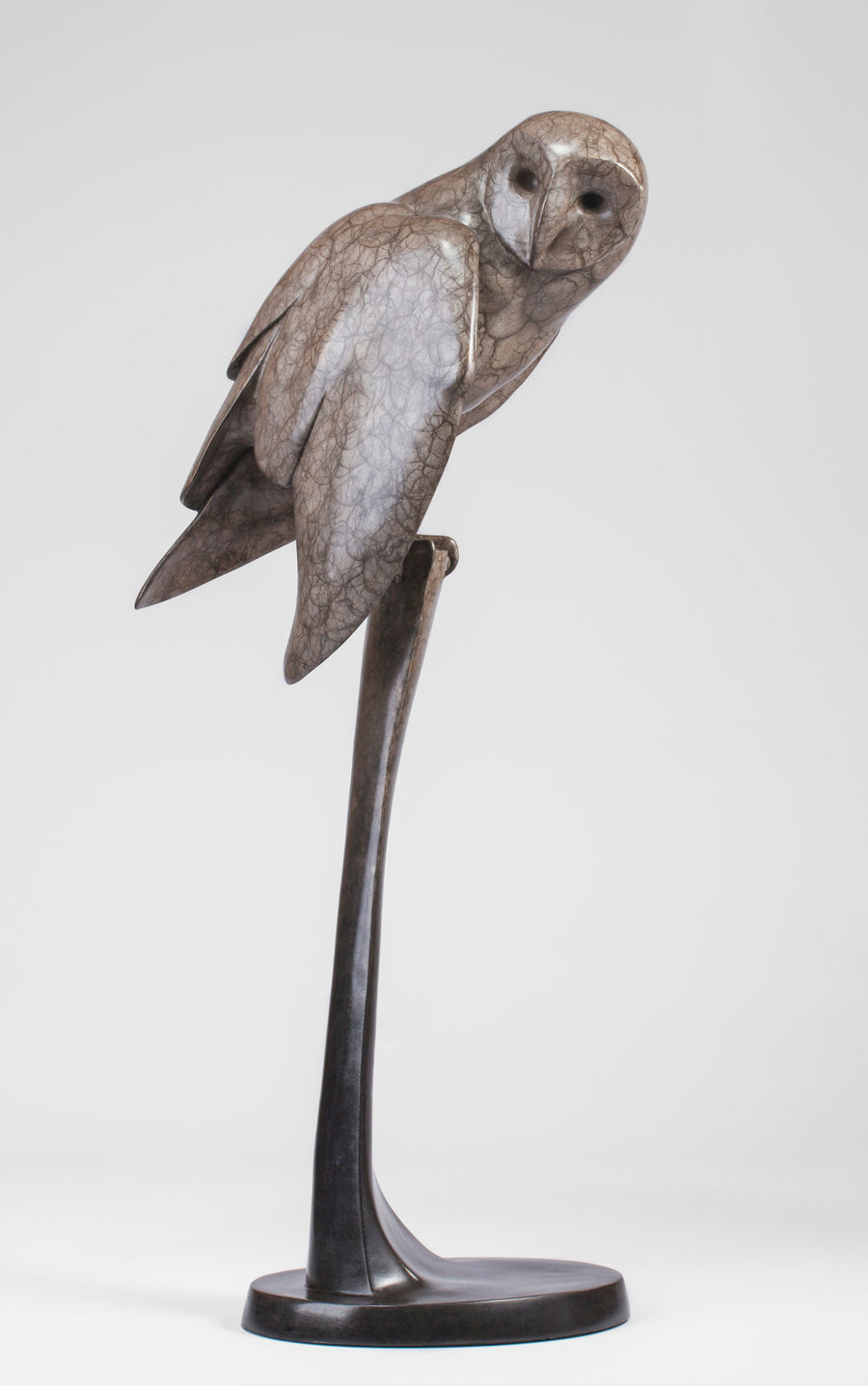 Barn Owl