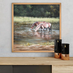 Little Bracebridge Horses