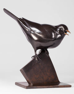 Black Bird