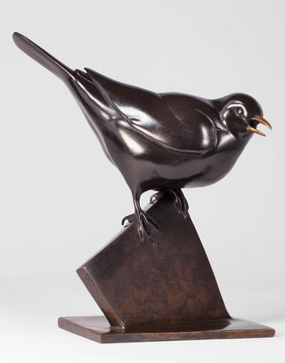 Black Bird
