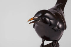 Black Bird