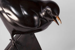 Black Bird
