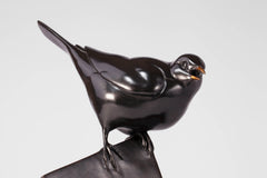 Black Bird