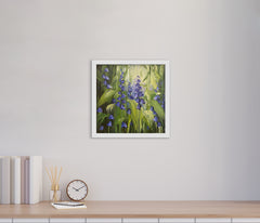 Bluebell Close Up